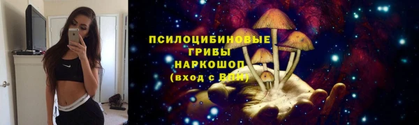 Альфа ПВП Алзамай