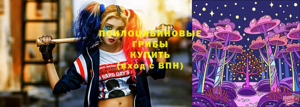 Альфа ПВП Алзамай