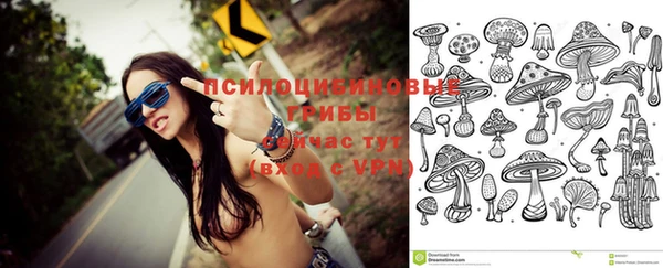 дурь Алексин