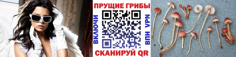 Галлюциногенные грибы мухоморы  Перевоз 